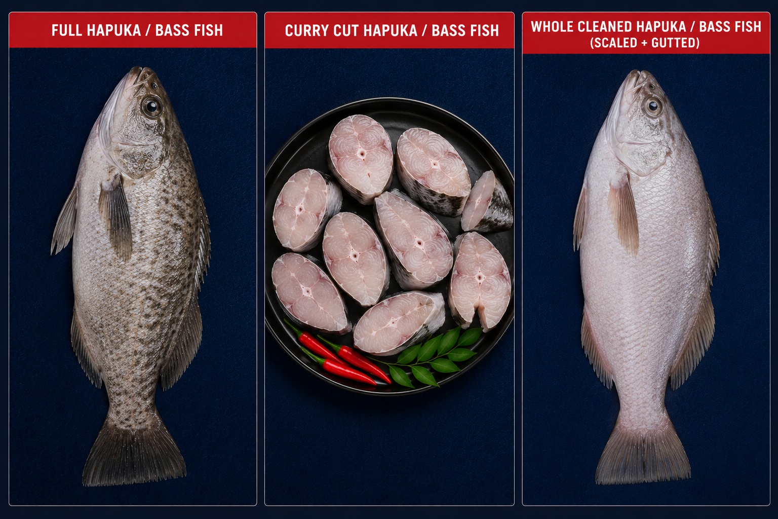 Hapuka Bass