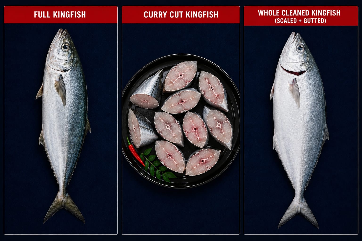 Kingfish
